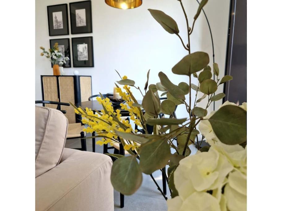 Duplex De Diseno Jaen Centro-Catedral Apartment Екстериор снимка